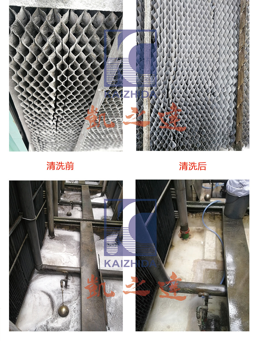 1552290107138493.jpg 拼圖(tu).jpg